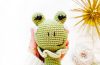 Eine Rassel-Frosch Amigurumi Anleitung PDF Kostenlos (3)
