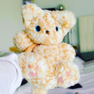 Flauschige Katze Mufly Amigurumi Anleitung Kostenlos (1)