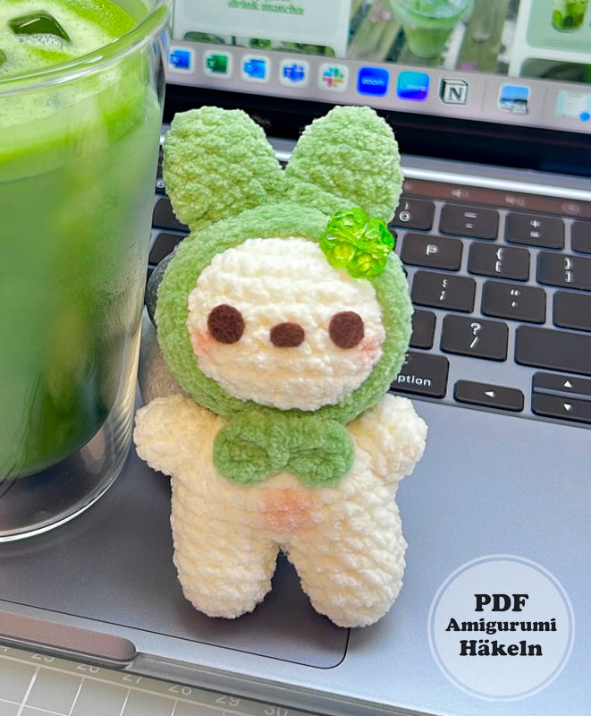 Molly mit Hasenkapuze Amigurumi Puppe Anleitung (3)