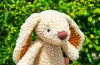 Knoly das Plüschhäschen Amigurumi Anleitung (1)