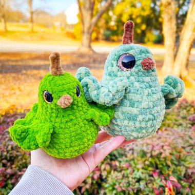 Pear Peep der Vogel Häkeln für Anfänger (2)