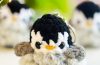 Gehäkelter Plüsch-Pinguin-Schlüsselanhänger für Anfänger (1)